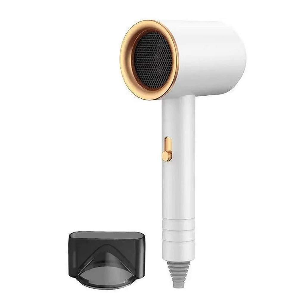 Asciugacapelli Ionico Professionale